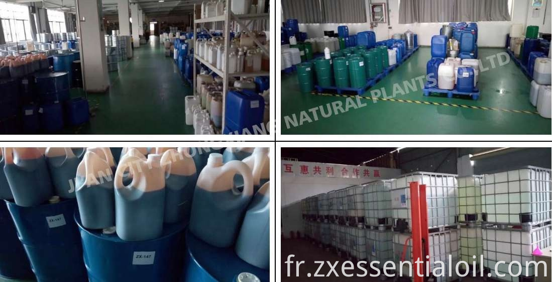 Approvisionnement d'usine Nature pure en gros CAS 4871-97-0 Huile de curcuma Zedoary, huile d'Ezhu avec les meilleures ventes